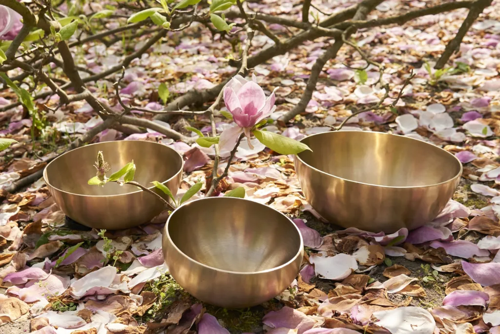 Misy terapeutyczne stojące na płatkach magnolii