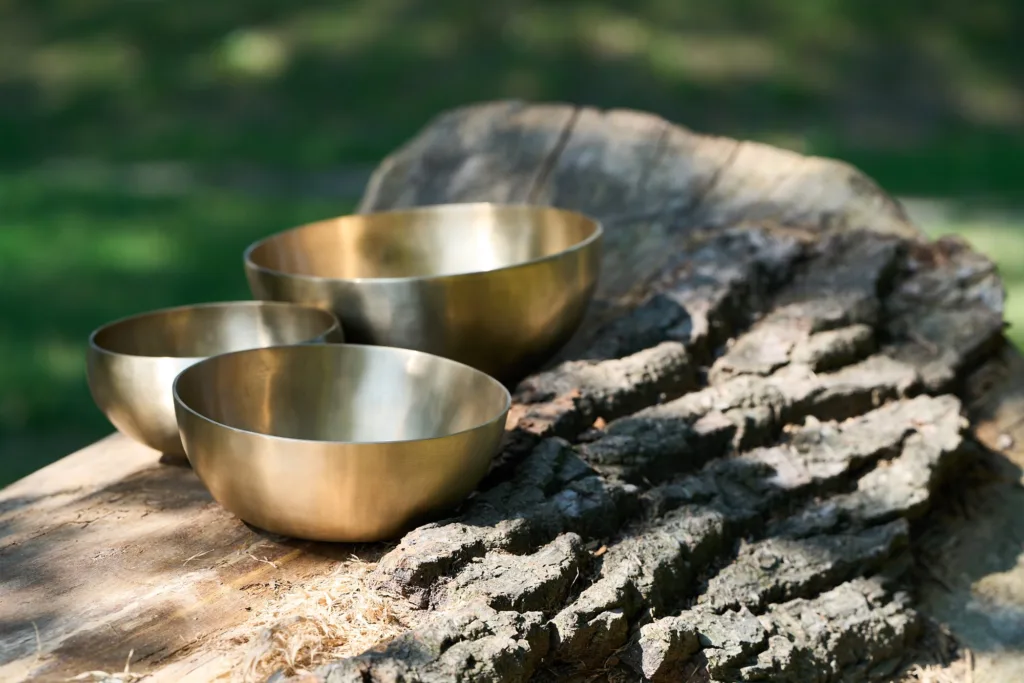 Misy terapeutyczne leżące na pniu drzewa