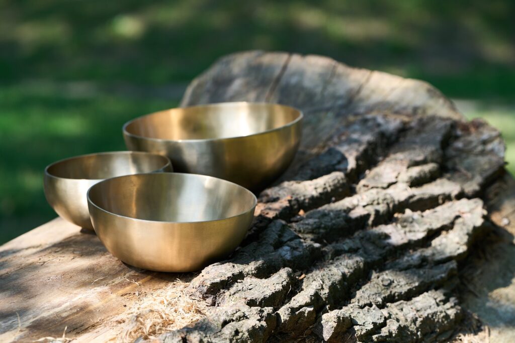 Misy terapeutyczne leżące na pniu drzewa